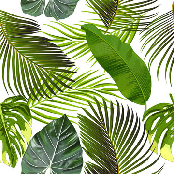 Leaves of palm tree seamless pattern 