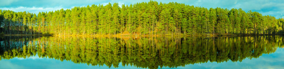 water forest panorama