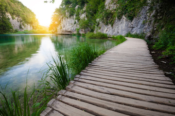 Wooden path across beautiful lake in sunny green forest