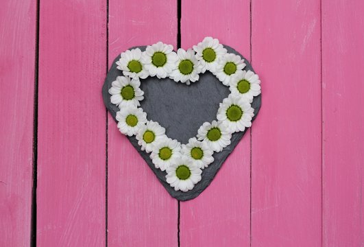 slate heart with daisy flower heads on bright pink painted wooden boards, shabby chic romantic image with copy space 