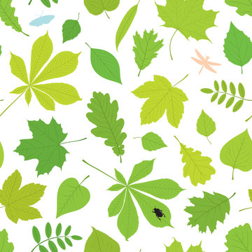 Seamless pattern of different tree leaves - oak, chestnut, birch, Rowan, linden, jasmine, lilac, maple, willow, poplar, sycamore and insects - butterfly, sugarcane beetle, dragonfly.