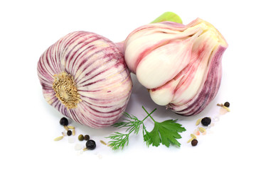 Knollen Knoblauch