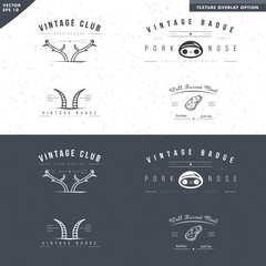 animal vintage club logo template