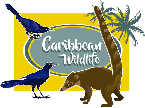 Fauna Caribe