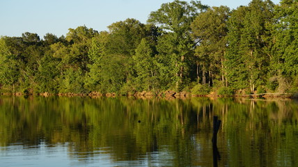 Obraz premium Calm Lake Water