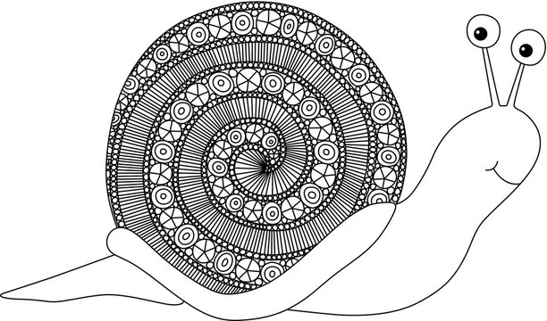 Snail  for adult antistress coloring