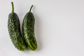 Two fresh cucumbers on the white background with a place for writing