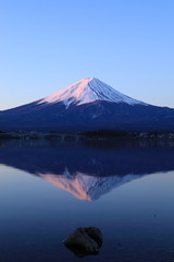 Naklejka premium Fuji Mountain