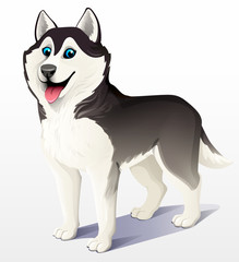 Fototapeta premium Siberian husky dog. Black and white. Stand. He put his tongue out, smiling. Cartoon. Vector illustration on a light background. 3D.