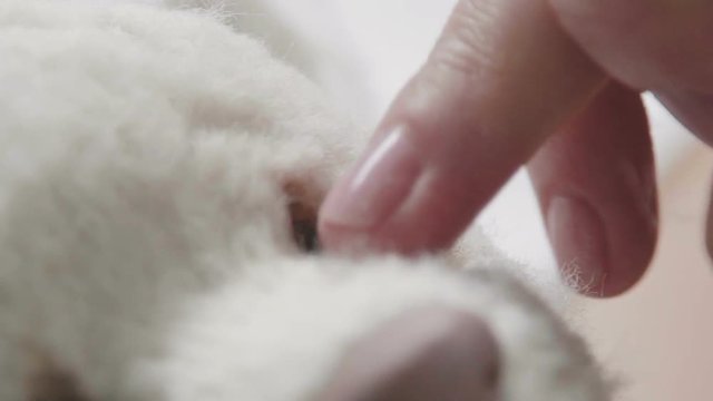 Process of creating a teddy bear: master draws a toy eyes. Thin brush for drawing: the eyes of a soft toy. Teddy bear in vintage style. Master paints eyes for a teddy bear in an old-fashioned style.