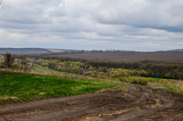Naklejka premium Spring landscape with fields and trees