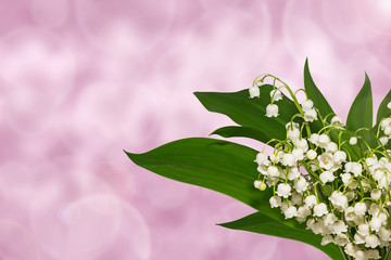 lilies of the valley, spring on holiday background