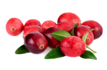 Isolated cranberries. Red cranberry with leaves isolated on white background