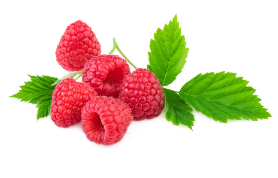 Isolated raspberries. Organic raspberry with fresh leaf isolated on white background