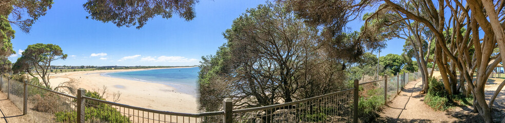 Taylor Park near Point Danger Marine Sanctuary, pinewood panoramic view - Victoria, Australia