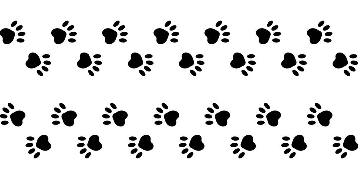 footprints paws dog cat right and left, vector trail animal