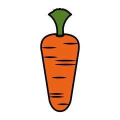 carrot vegetable healthy food vector illustration design
