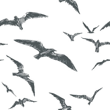 Vector seamless pattern with birds isolated on white background. Hand drawn texture with seagulls  flying in sky