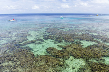 Turquoise Waters and Roatan Reef