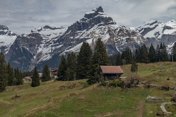 Fototapeta na wymiar Snowcapped Swiss Alps Titleis Mountain Range View