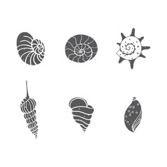 Seashells set isolated on white. Vector illustration. Beach concept for restaurant menu card, ticket, branding, logo label. Black and white seashells collection