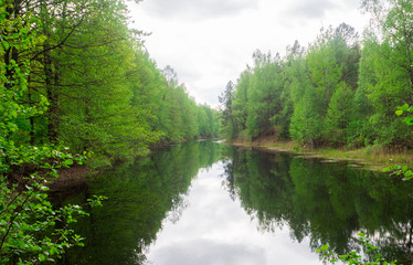 unreal beautiful river surrounded by forest