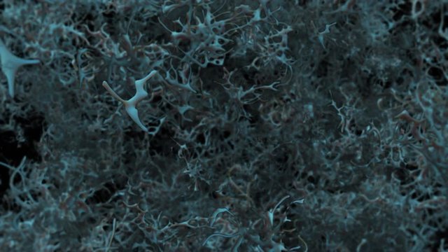 3d rendered sequence of abstract macro forming organic forms. Subsurface scattering material. Semi translucent organic neuron like structures. Loopable camera flying through.