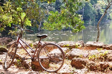 Fototapeta premium Ein altes Fahrrad im Wald