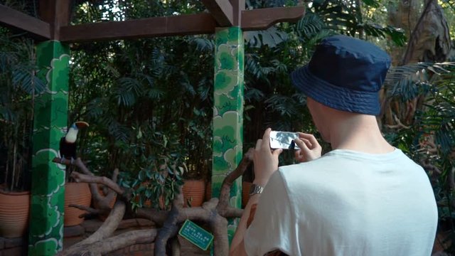 man takes photos of the birds, in the zoo