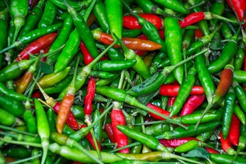 Frische Chiles