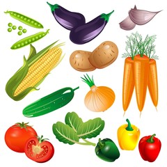 set of delicious vegetables