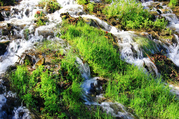 Fototapeta na wymiar Flow of the water in the rivulet