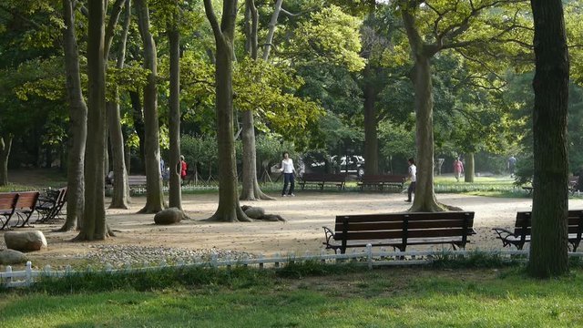 Aug 06,2016 - QingDAo,China:Mother and son to play badminton in Forest Park.