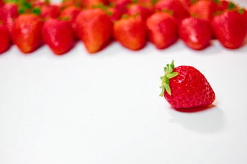 Neat row of strawberries in the background blurry and one berry in the foreground. White background with strawberry