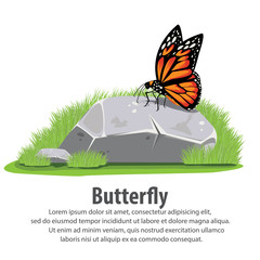 butterflie on stone © chalintra.b