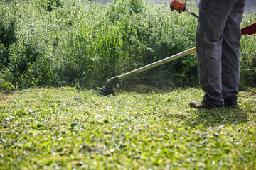 mowing trimmer - worker cutting grass.