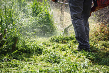 mowing trimmer - men worker cutting grass.