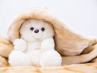 Teddy bear covered by a blanket and with white background