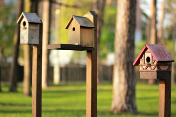 Tree wooden birdhouses in the warm spring park against blurred background