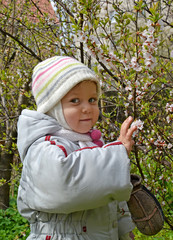 The little girl about a bush of the blossoming Chinese cherry in a spring garden