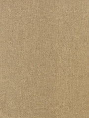 Brown Canvas Background