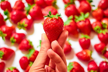Female hand holds a strawberry berry with two fingers against a background of blurry strawberries on a white surface