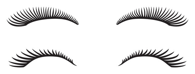 eyelashes vector design