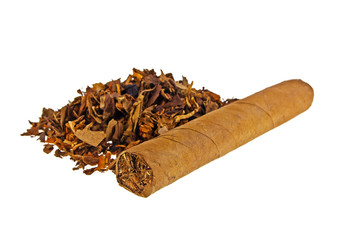 Tobacco and cigar isolated on white background