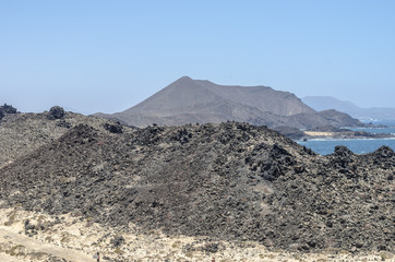 Flora of Lobos Island in Canary Islands, Spain