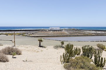 Traditional methods of sea salt production in Salinas del Carmen, Fuerteventura. Production from ocean water