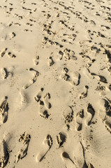 People leave tracks on sand beach El Cotillo, Fuerteventura, Canary Islands, Spain