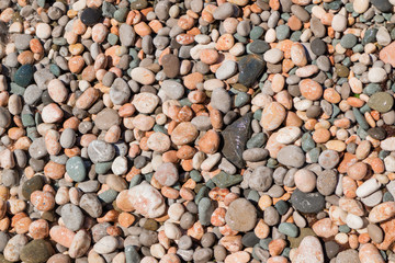 Multicolored wet pebble on sea beach texture