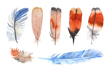 Watercolor feathers hand painted