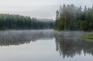 Early morning on the forest lake. Fog. Reflection on water.
